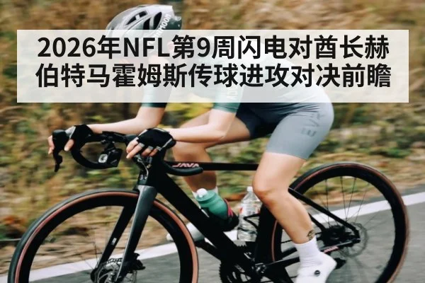 2026年NFL第9周闪电对酋长赫伯特马霍姆斯传球进攻对决前瞻