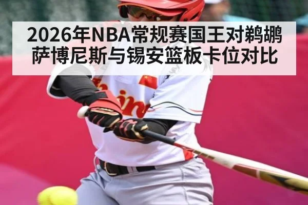2026年NBA常规赛国王对鹈鹕萨博尼斯与锡安篮板卡位对比